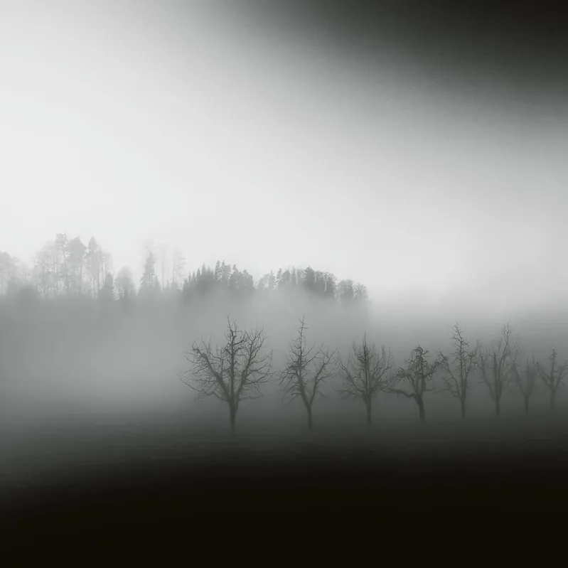 Top-Angebot A.S. Creation Designwalls 2.0 DD118932 Fototapete Vlies 384 x 260 cm