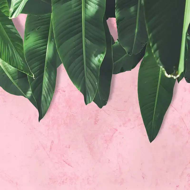 A.S. Creation Designwalls DD118544 Fototapete Vlies 350 x 255 cm Natur Grün Rosa Preisreduziert