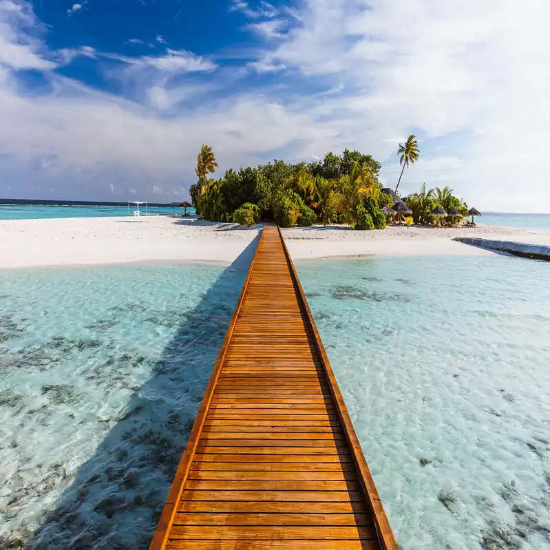A.S. Creation Designwalls 2.0 DD119015 Fototapete Vlies 384 x 260 cm Strand & Meer Angebot