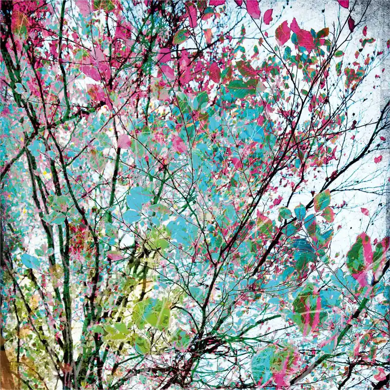 Neu Vlies Fototapete 100983 Blumen Floral Selection Rasch
