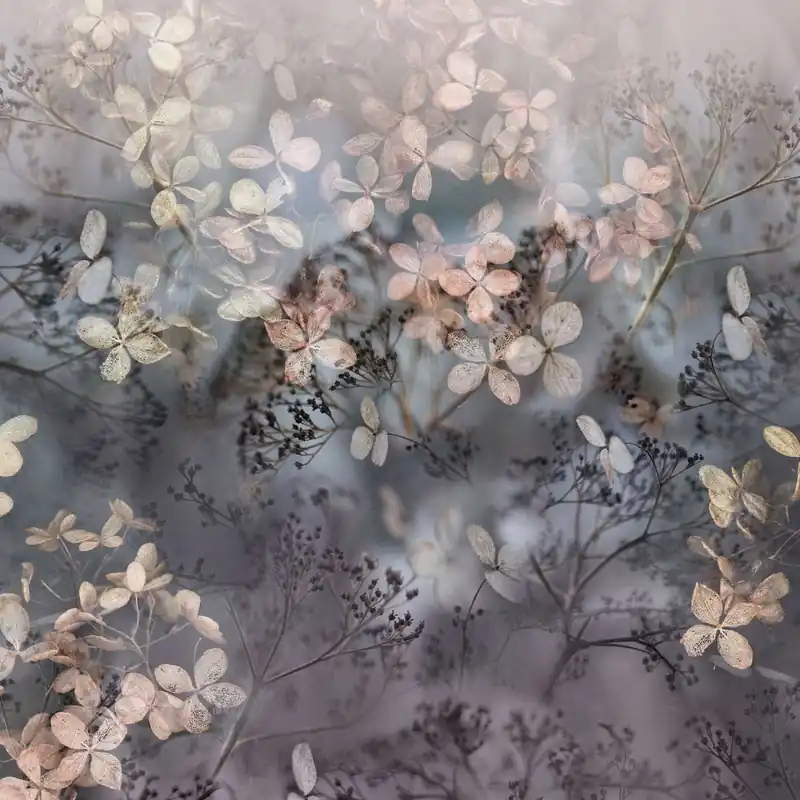 Solange Der Vorrat Reicht Fototapete Vlies 2236-10 Blumen Floral 4 x 2.7 m Art Edition Erismann