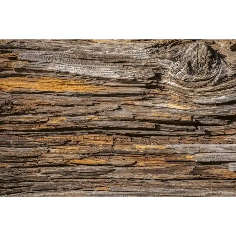 Dimex Dimex Line MS-2-0159 Fototapete Vlies Versch. Größen Holz Braun Aktuell