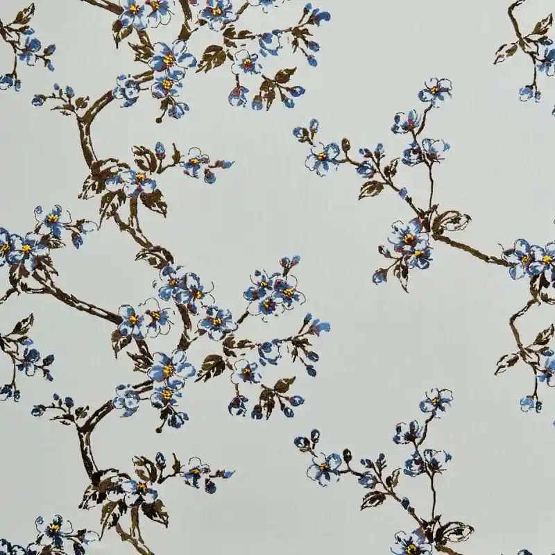 Schleier Flowering Hodsoll Mc Kenzie Highlight
