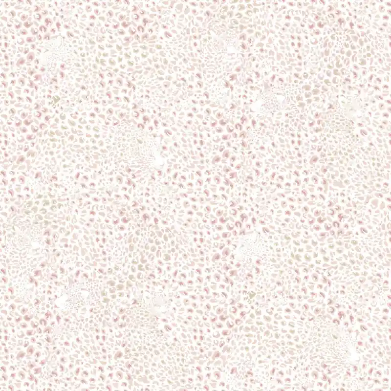Knallerangebot Stoff Cheetah Little Cabari