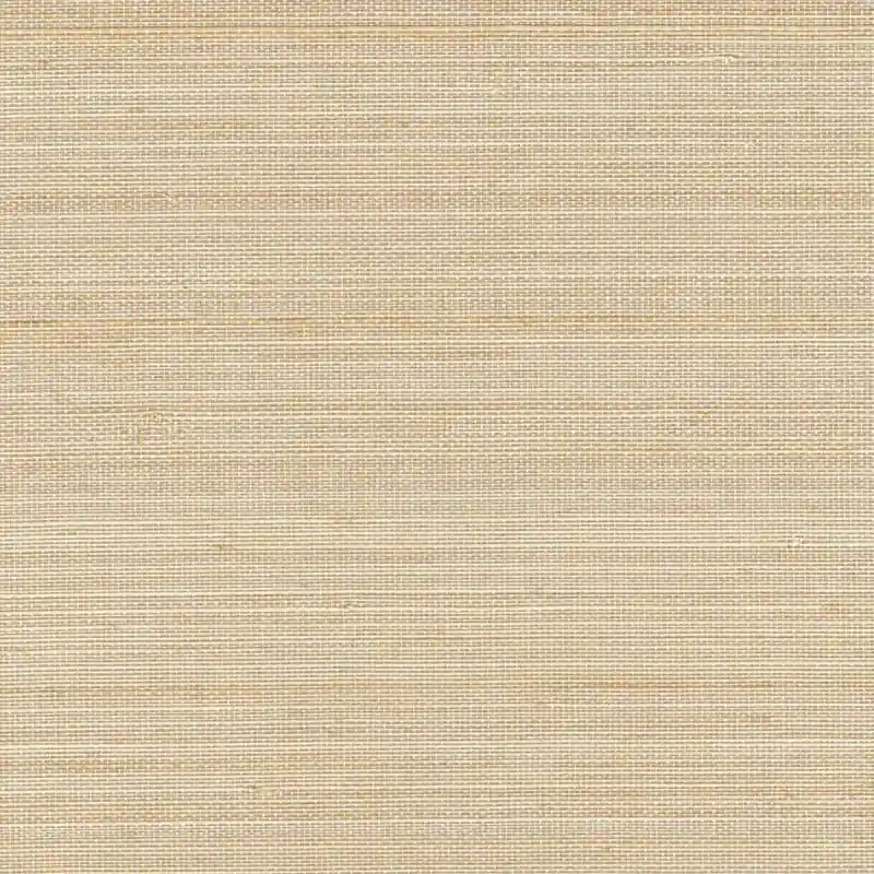Wandverkleidung Abaca Précieux CMO Paris Nur Für Kurze Zeit