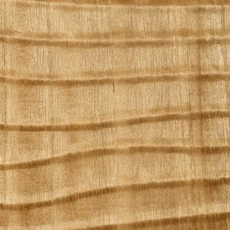 Billig Wandverkleidung Dunes CMO Paris