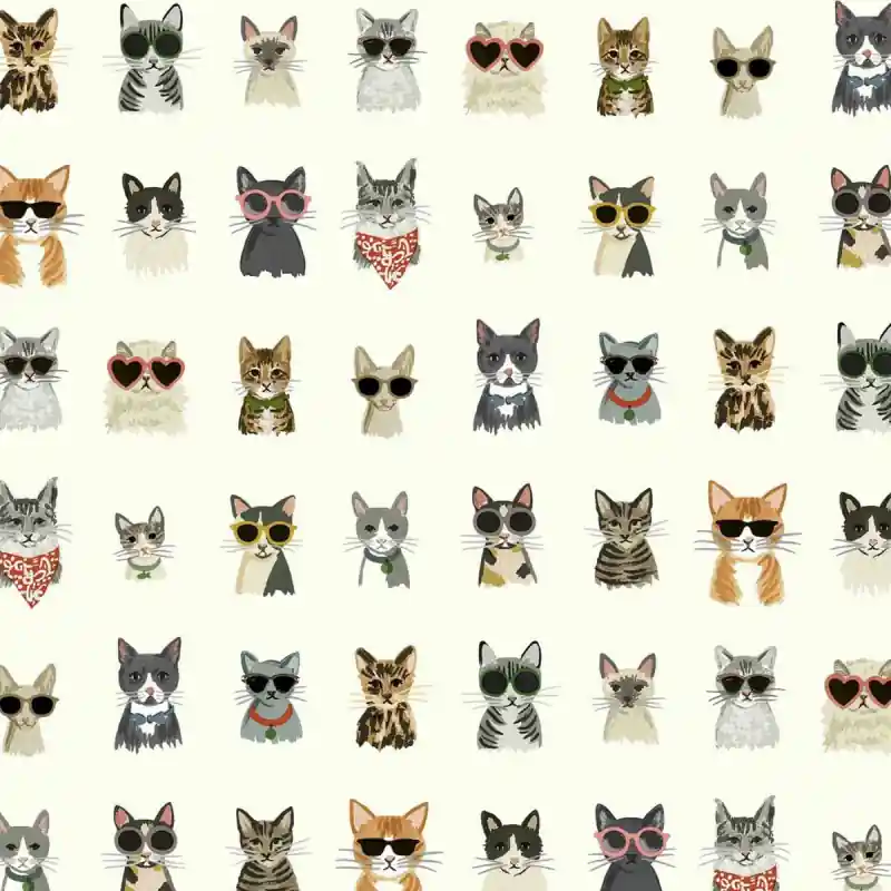 Heißes Angebot Selbstklebende Tapete Cool Cats Rifle Paper Co.
