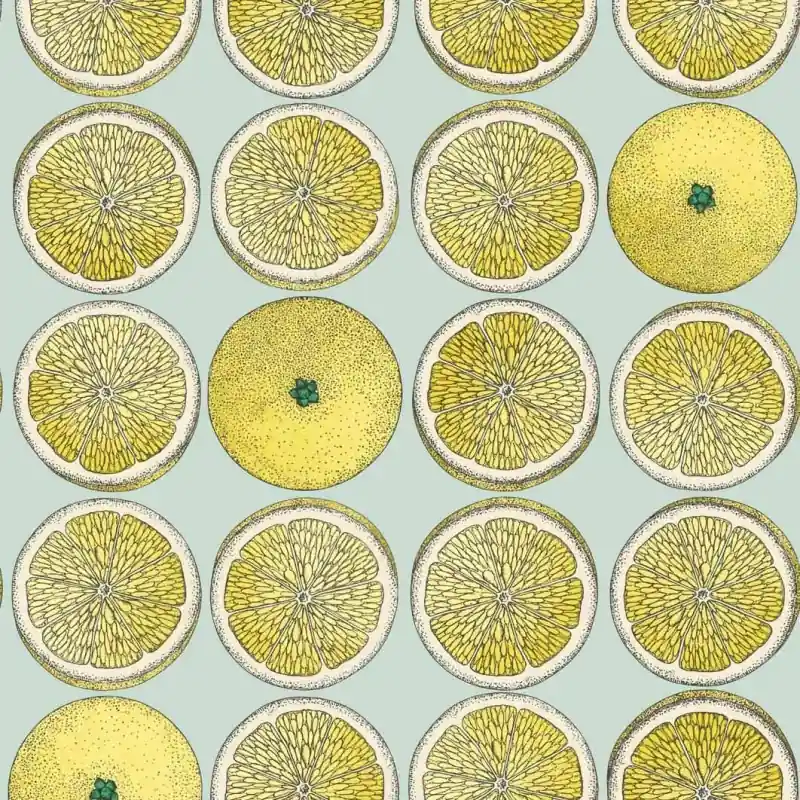 Tapete Arance Fornasetti Cole and Son Echt