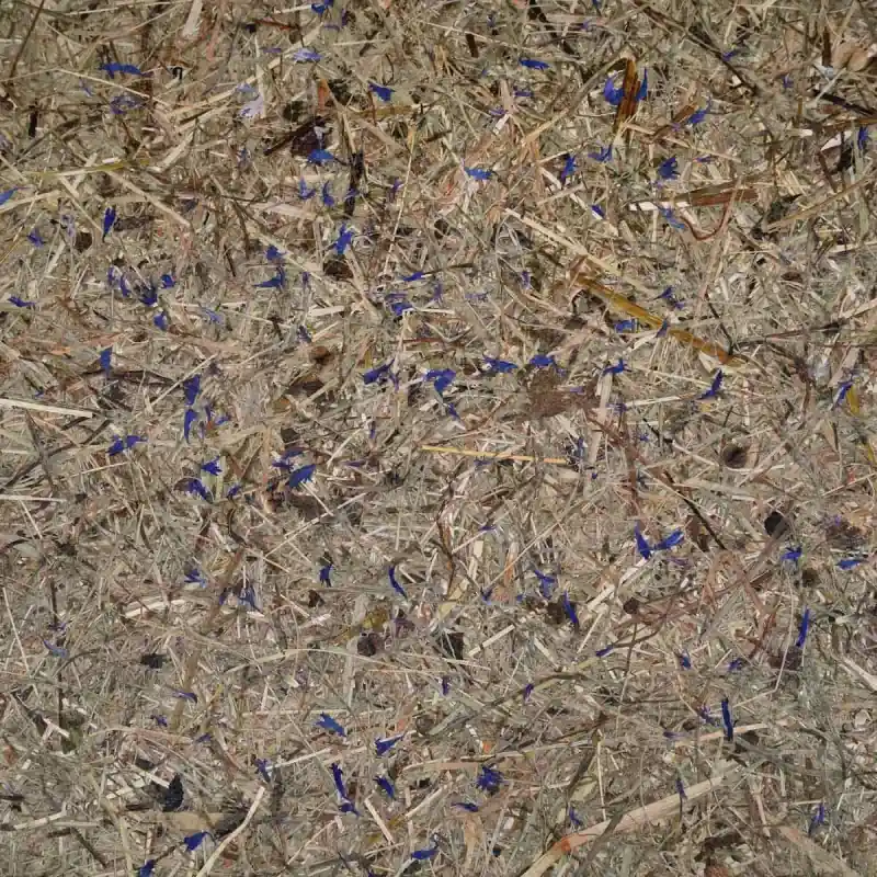 Direkt Vom Hersteller Wandverkleidung Alpage & Bleuets SuperOrganic by Oberflex