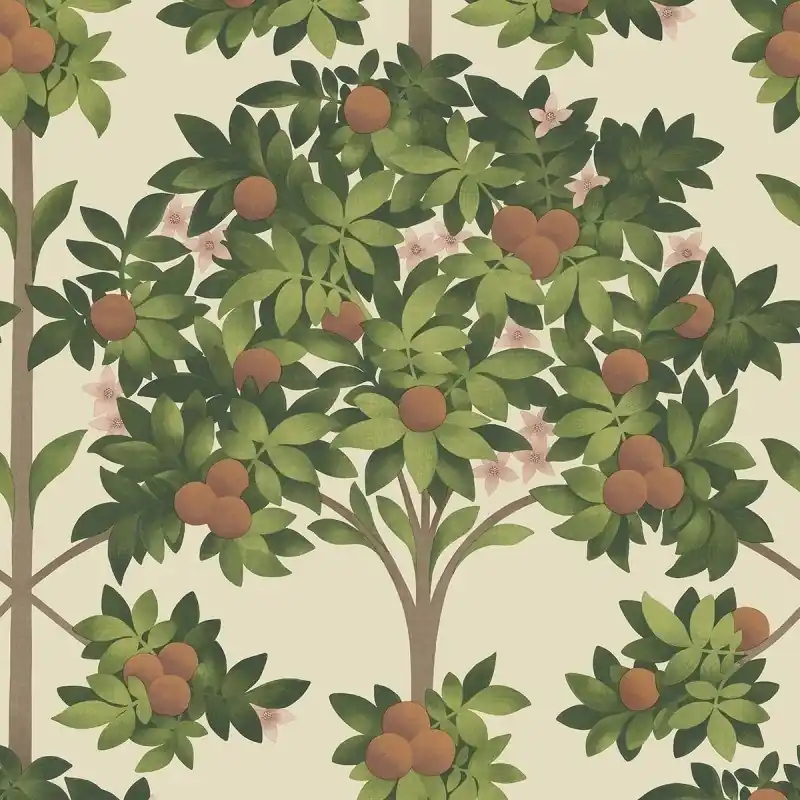 Online Kaufen Tapete Orange Blossom Cole and Son