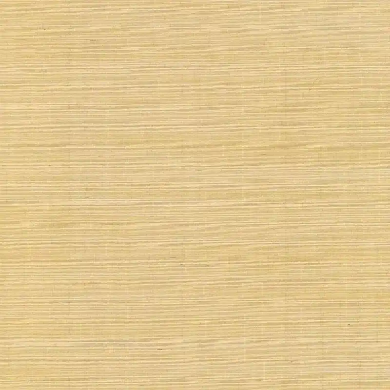 Aktuell Tapete Palette Rifle Paper Co.