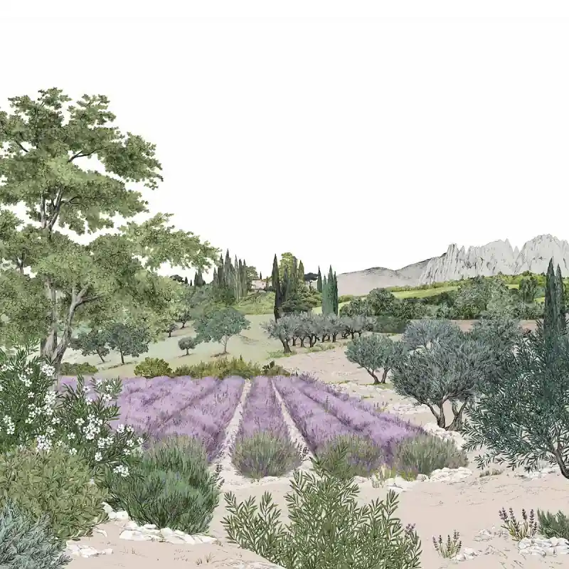 Panorama-Tapete Provence Farbe Isidore Leroy Preis Gesenkt