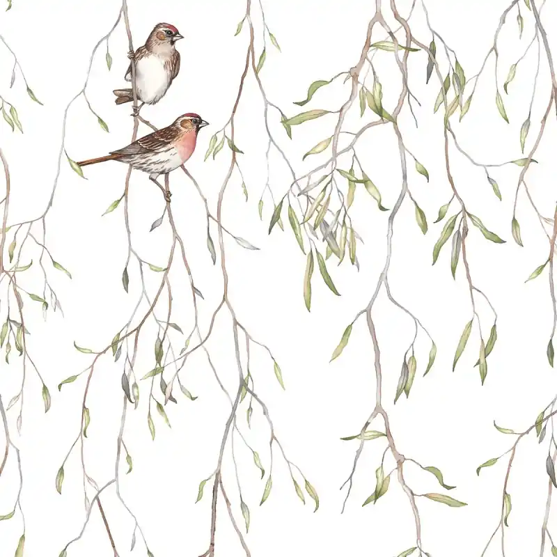 Panoramatapete Spring Birds Borastapeter Direkt Vom Hersteller