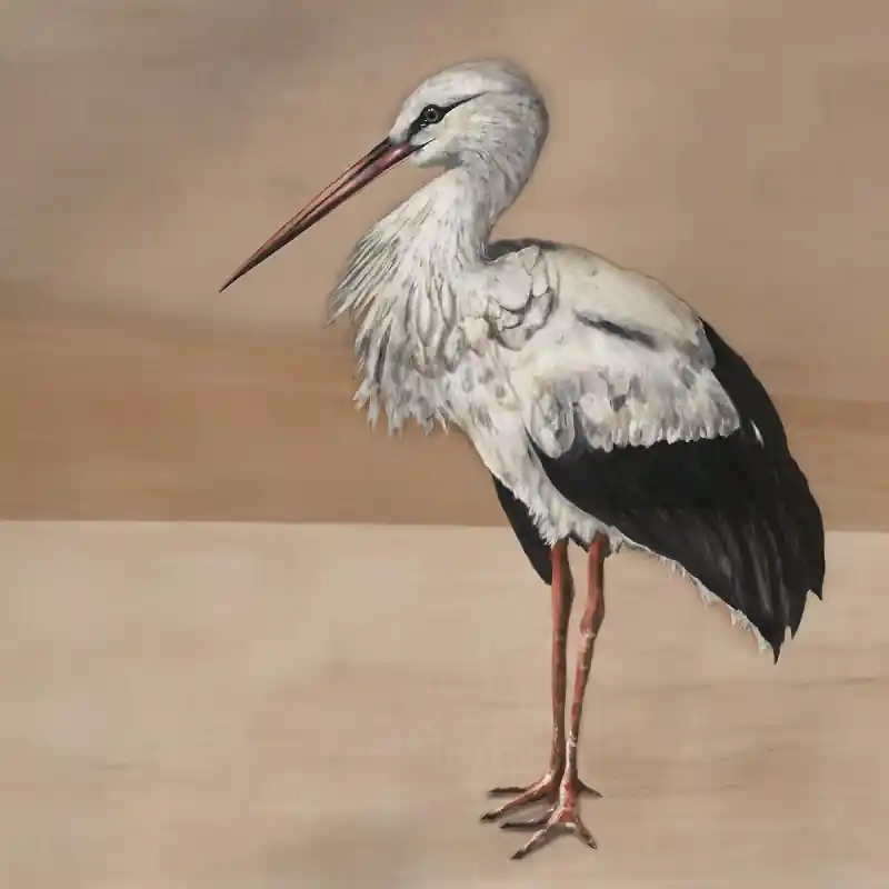 Panoramatapete Stork Mother Coordonné Günstig