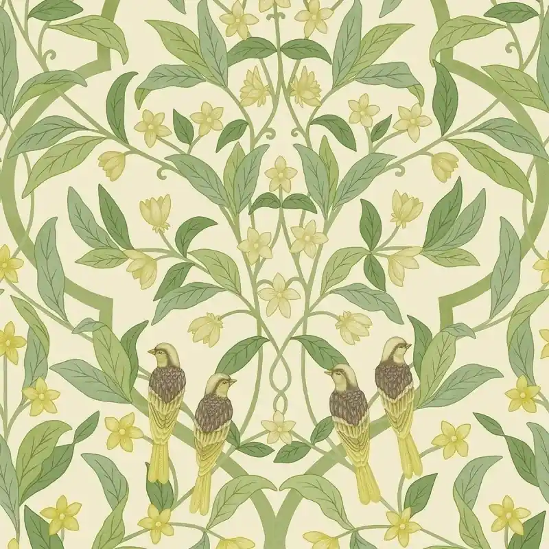Meistverkauft Tapete Jasmine & Serin Symphony Cole and Son