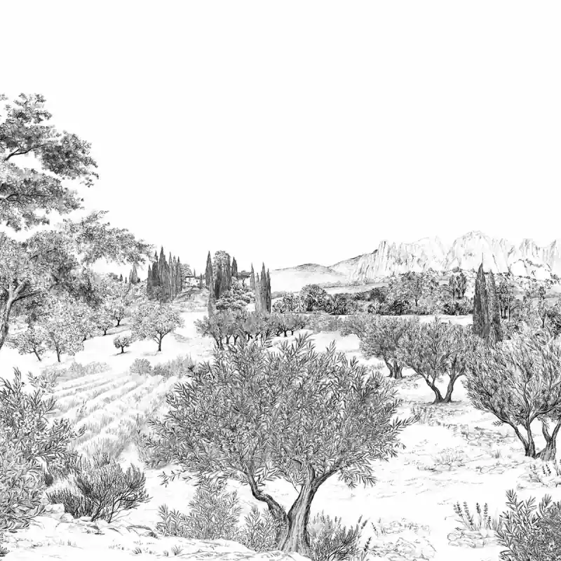 Preisknaller Panorama-Tapete Provence Isidore Leroy