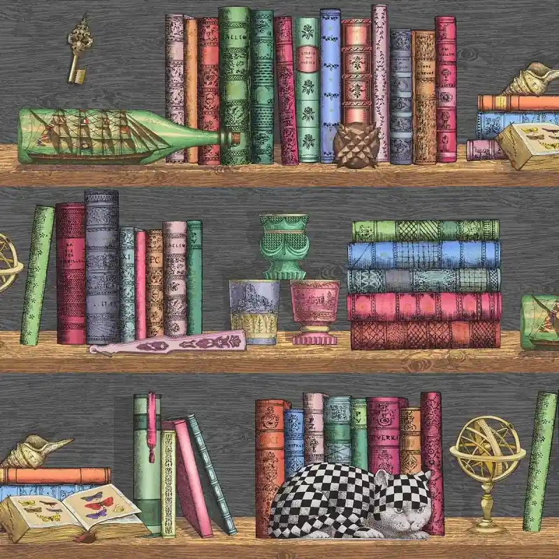 Tapete Libreria Fornasetti Cole and Son Sonderaktion
