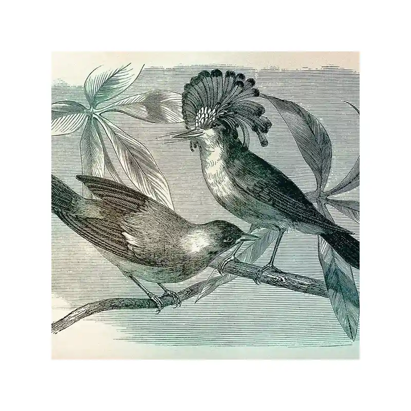 Kracherpreis Panoramatapete Vintage Birds 1 Walls by Patel