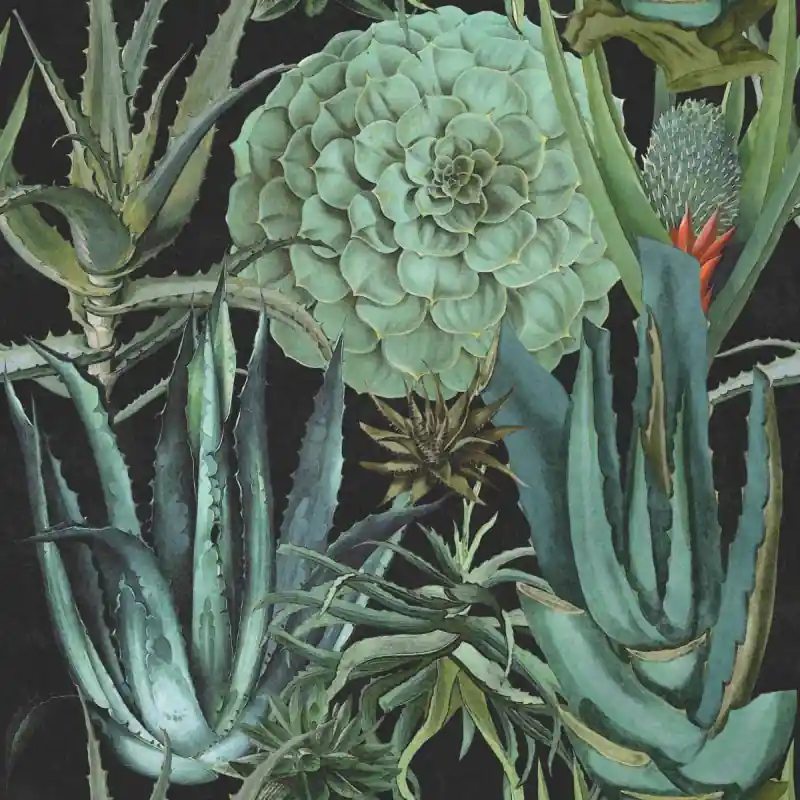 Sonderangebot Panoramatapete Succulentus Mindthegap