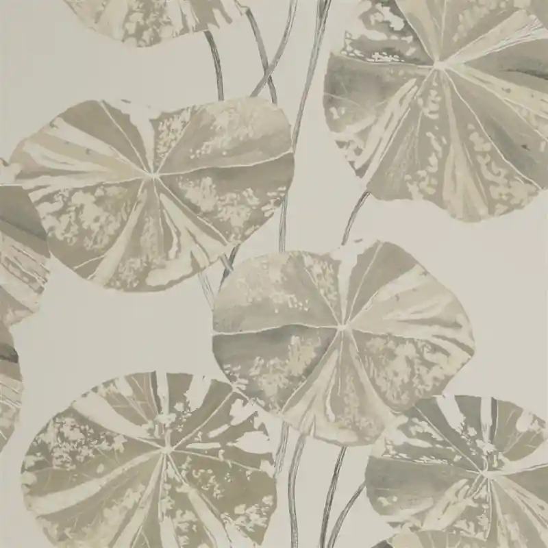 Direkt Vom Hersteller Tapete Brahmi Designers Guild