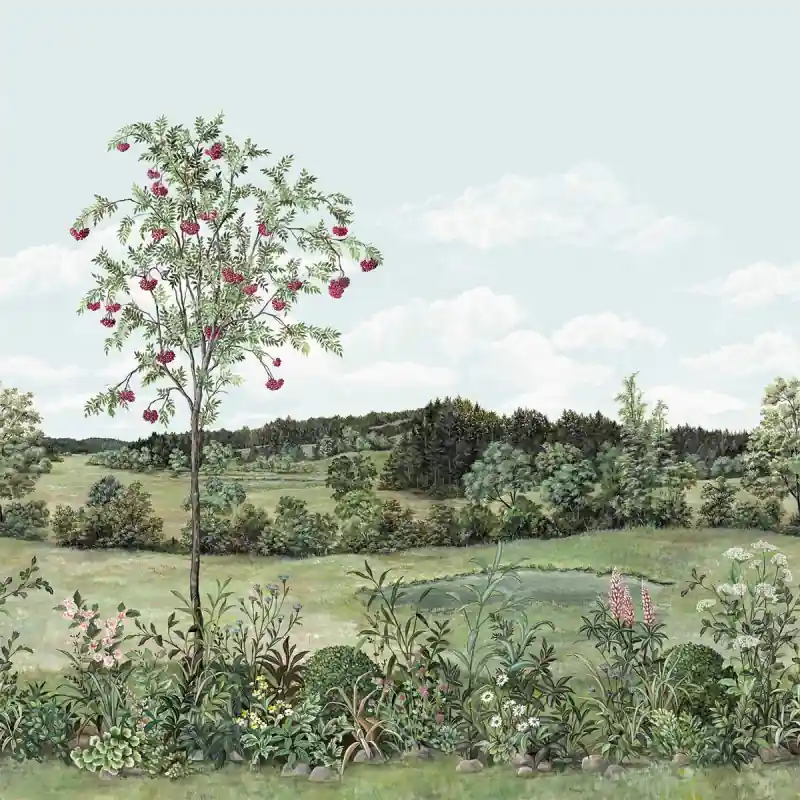 Nur Heute Panoramatapete Sorbier des Oiseaux Nobilis