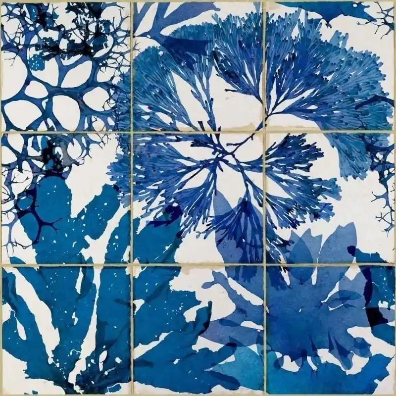 Direkt Vom Hersteller Panoramatapete Algae in blue Mindthegap