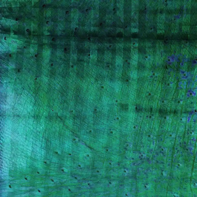 Panoramatapete Graph 2 Labo Léonard Neuheit