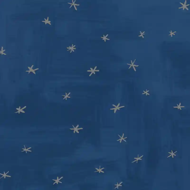 Tapete Twinkle Twinkle Villa Nova Jetzt Kaufen