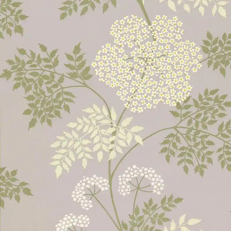 Tapete Cowparsley Sanderson Knallerangebot