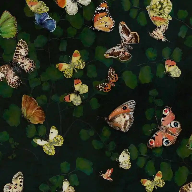 Preiswert Tapete Magic Butterflies Coordonné