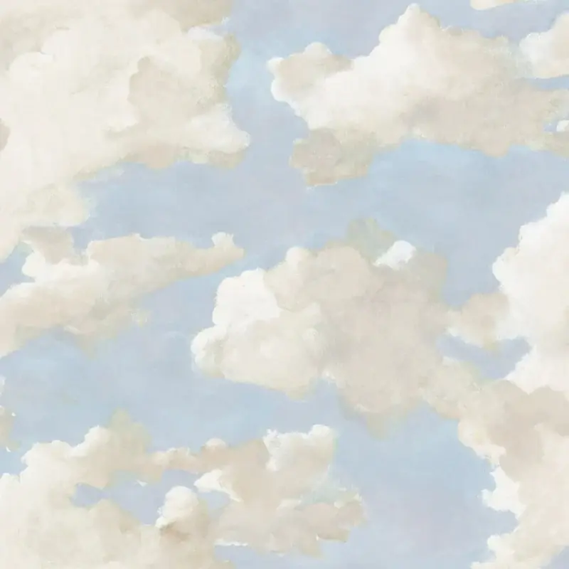 Neuheit Selbstklebende Tapete Clouds on Canvas York Wallcoverings