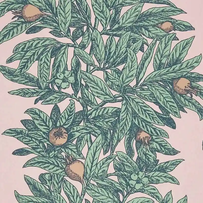 Tapete Medlar Osborne and Little Sale