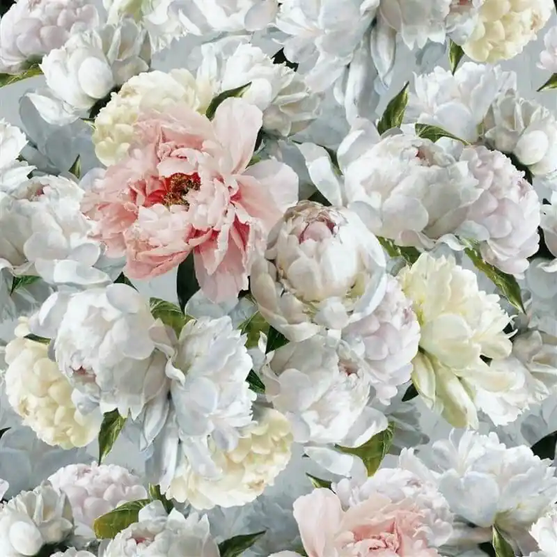 Direkt Vom Hersteller Panoramatapete Peonia Grande Designers Guild