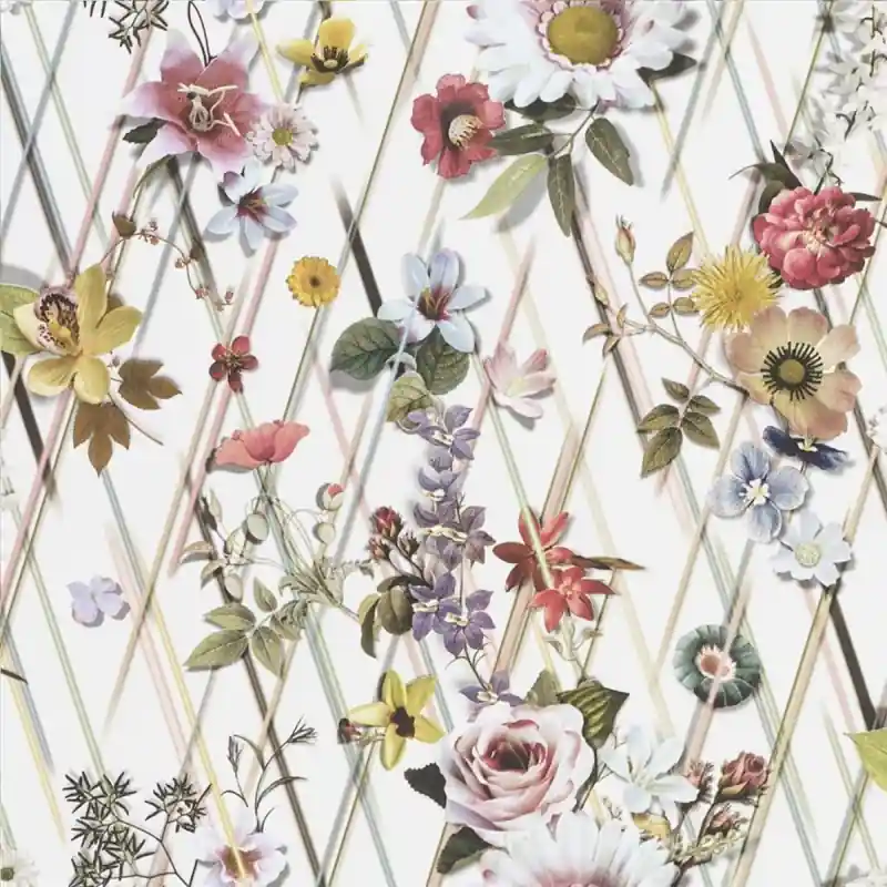Preisknaller Tapete Rocaille Christian Lacroix