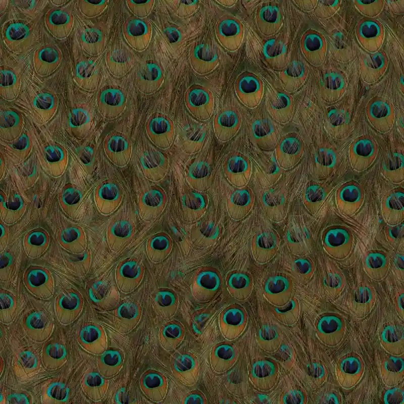 Jetzt Bestellen Tapete Peafowl Coordonné