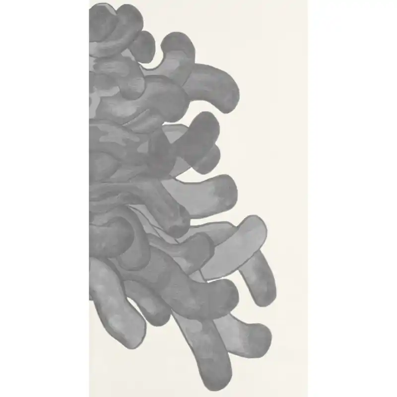 Teppich Anemone Rectangle La Chance Markenware