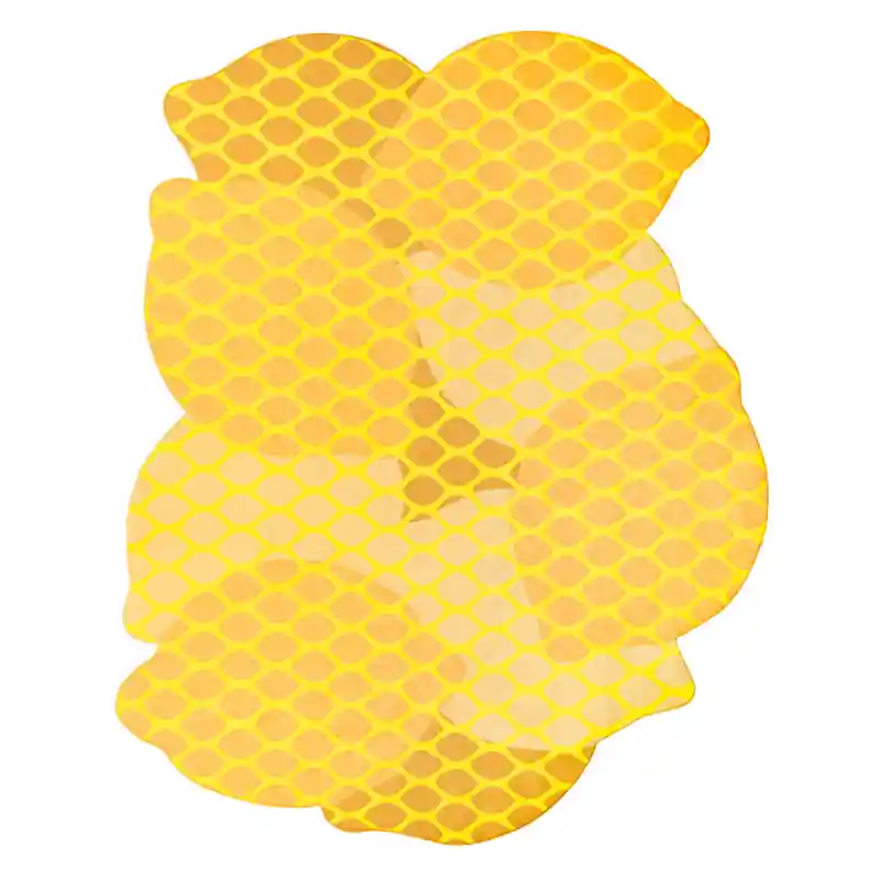 Neu Teppich Citrus Lemon in-outdoor Gan Rugs