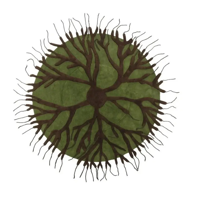Teppich Roots von Matali Crasset Nodus Ausverkauf