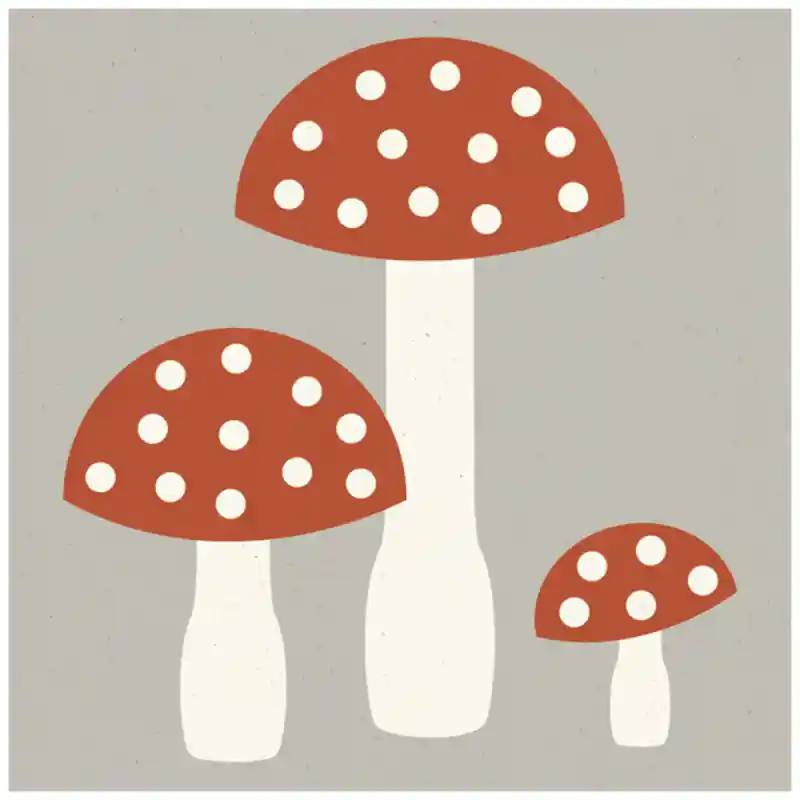 Zementfliese Les Champignons Carocim Ausverkauf