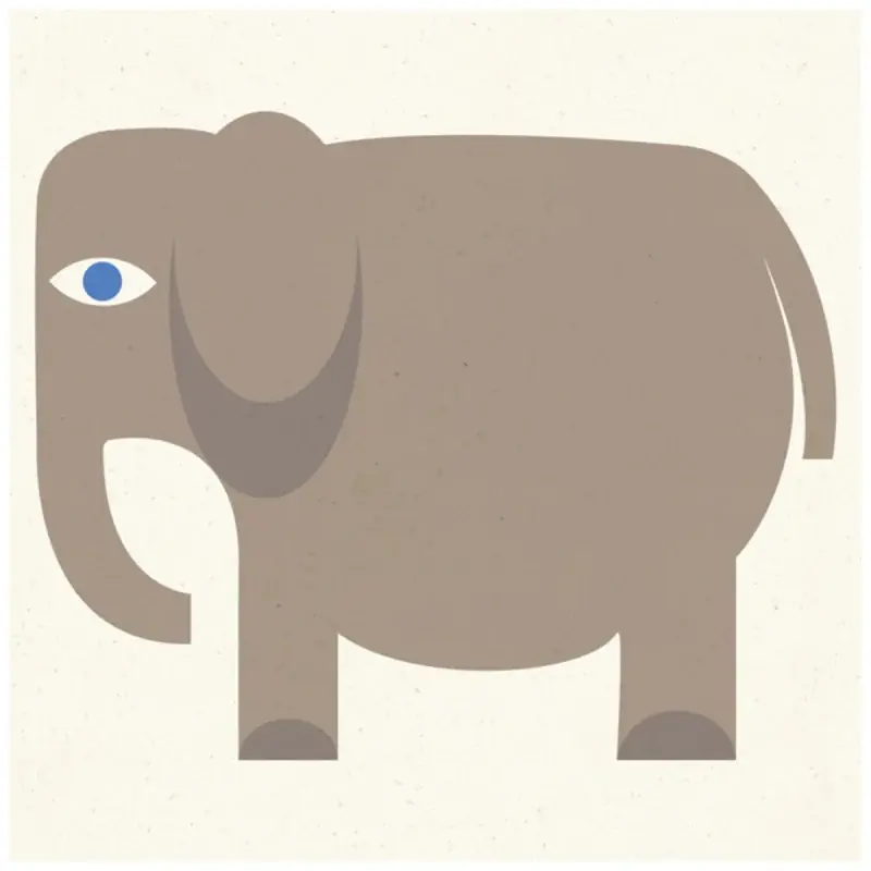 Markenware Zementfliese L‘Élephant Carocim