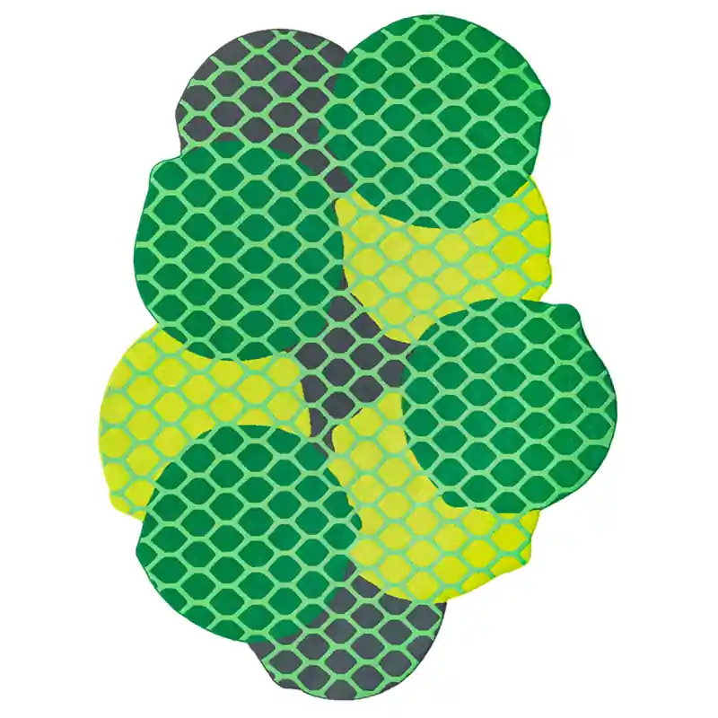 Teppich Citrus Lime in-outdoor Gan Rugs Mega-Angebot