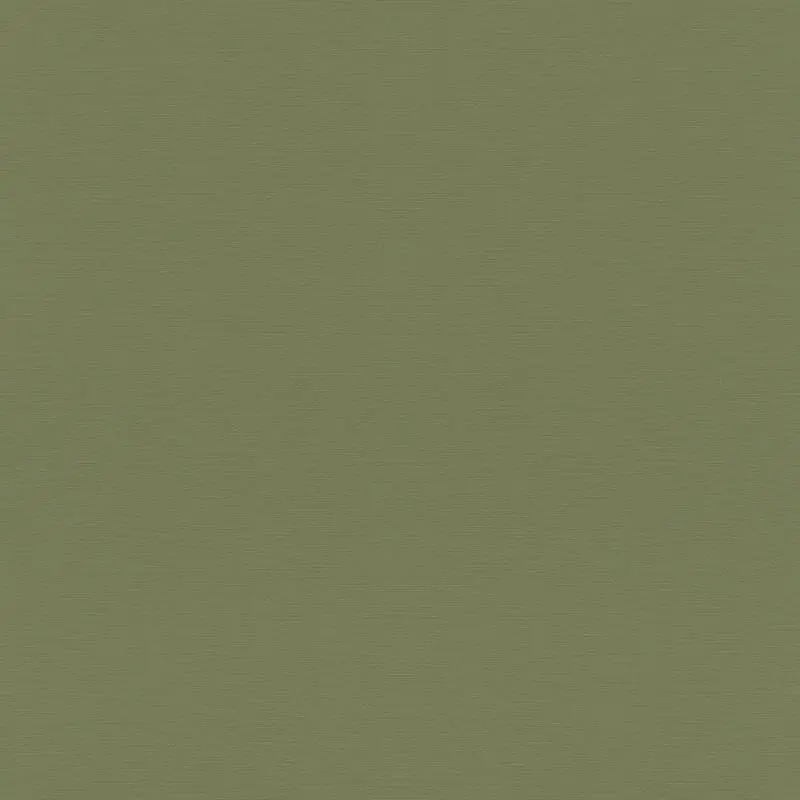 Billig Vliestapete Grün charmant rustikale Atmosphäre Hochwaschbeständig Rasch Country Charme