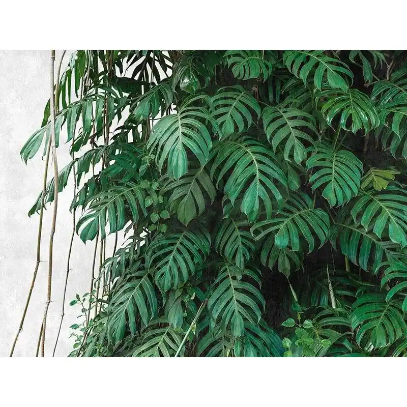 Highlight Digitaldruck-Tapete Botanic & Jungle livingwalls (1039870)