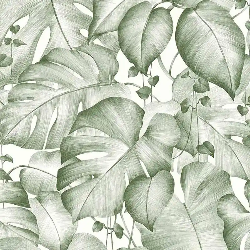 Tapete Dschungel Monstera Blätter Ranken Grün Weiß Papiertapete (1037527) Finale Aktion