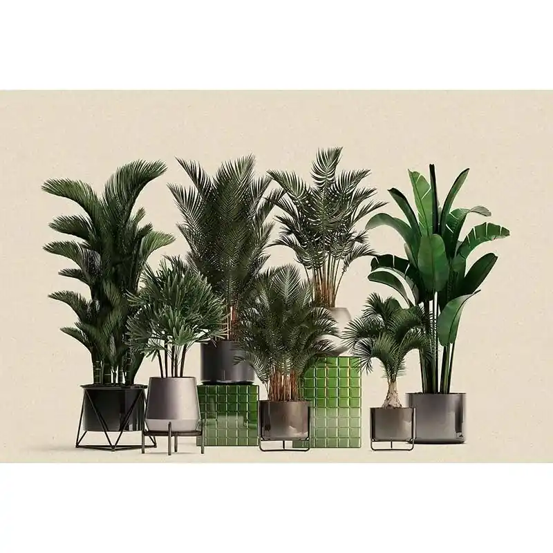 Sale Digitaldruck-Tapete plant shop 1 livingwalls (1036959)