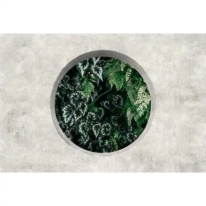 Bestseller Digitaldruck-Tapete deep green 1 livingwalls (1036961)
