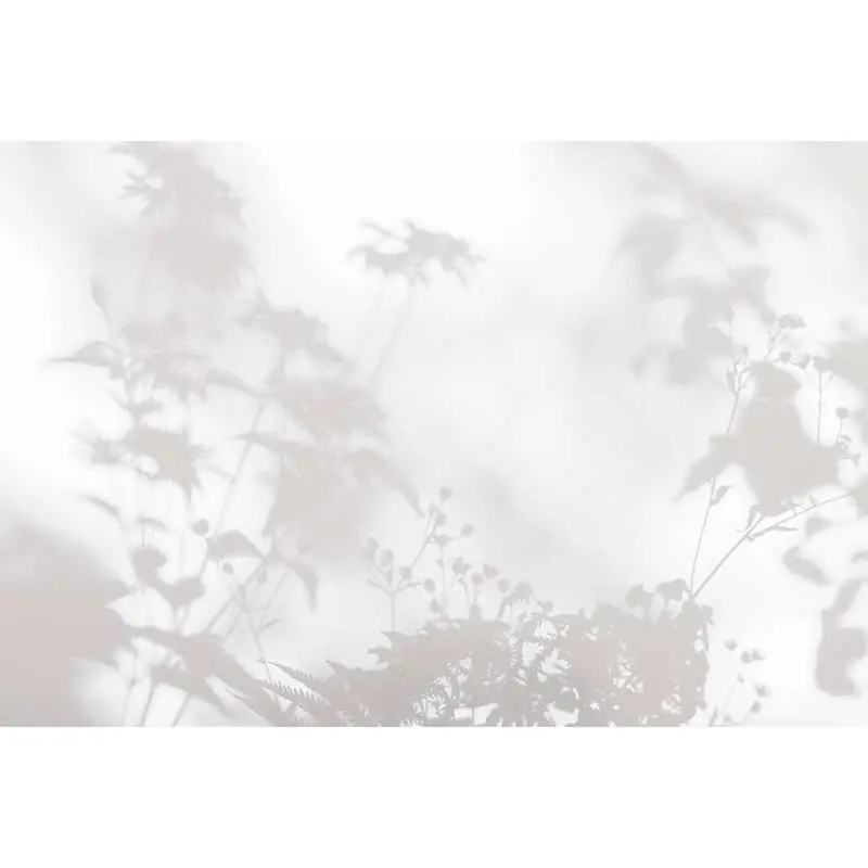 Digitaldruck-Tapete shadow room 2 livingwalls (1036943) Neuheit