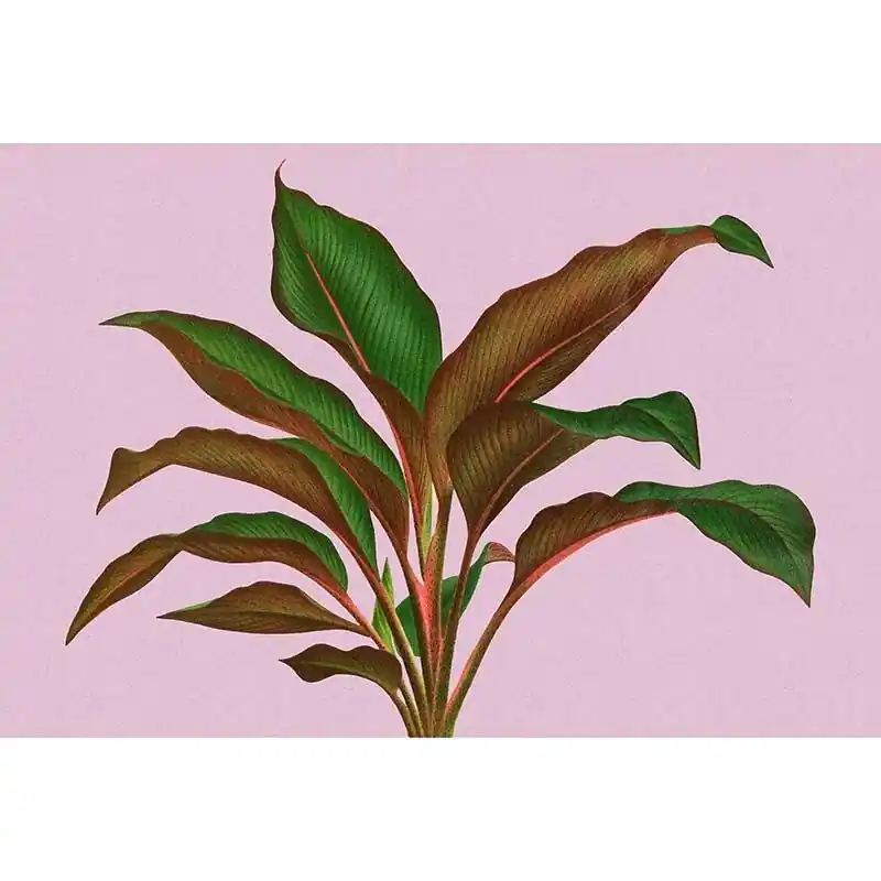 Nur Für Kurze Zeit Digitaldruck-Tapete leaf garden 3 livingwalls (1036927)
