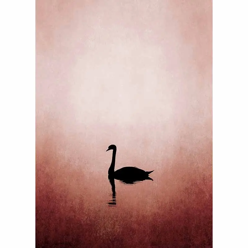 Digitaldruck-Tapete Swan Lake livingwalls (1036361) Billig