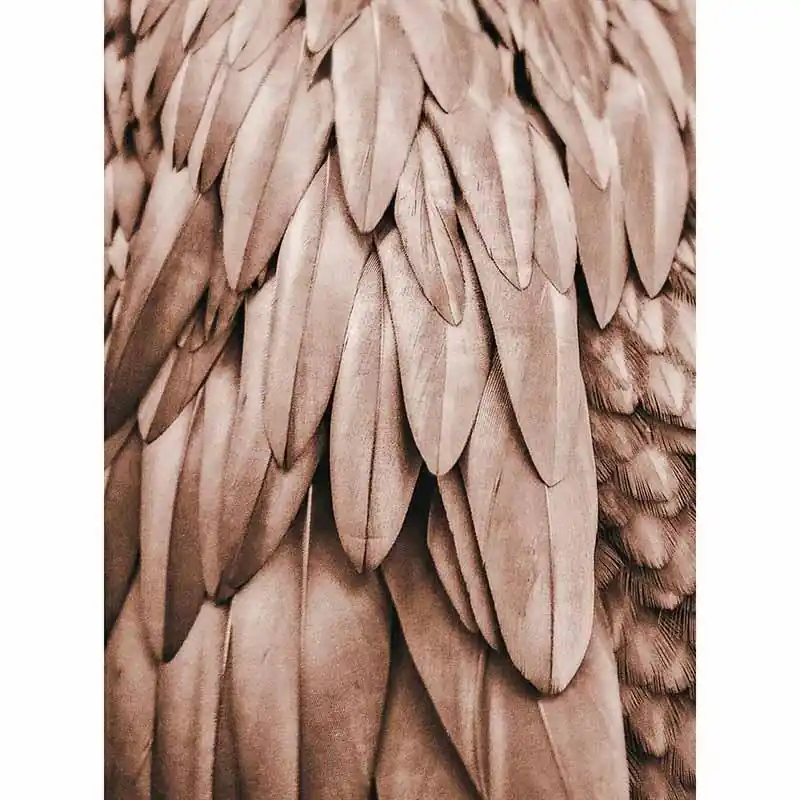 Top-Seller Digitaldruck-Tapete Feathers 1 livingwalls (1036342)